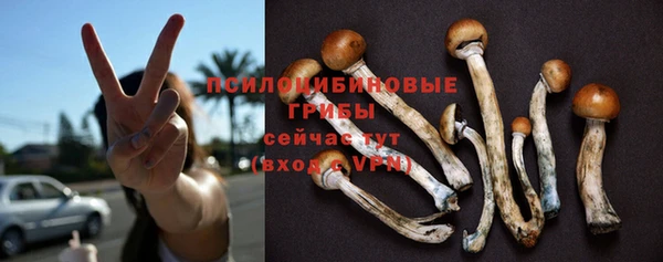 jwh Володарск