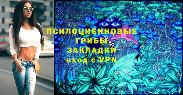 молекула духа Верея