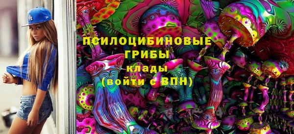 шишки Волосово
