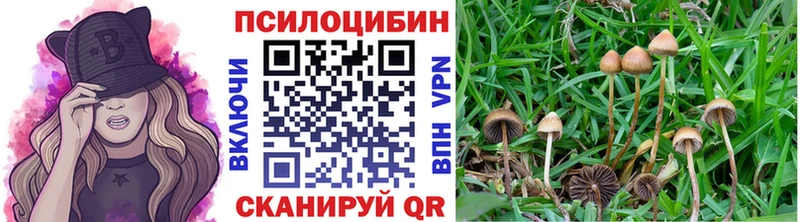 мега рабочий сайт  Кизляр  Псилоцибиновые грибы мухоморы 