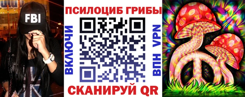 Галлюциногенные грибы Psilocybine cubensis Кизляр