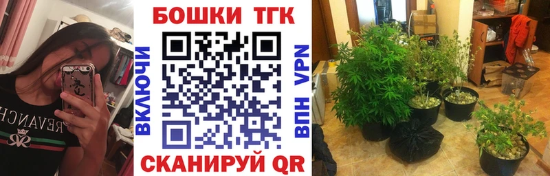 Канабис конопля  дарнет шоп  Кизляр 